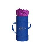  Mila-Roses-00804 Mila Velvet Baby Royal Blue Velvet Baby - Violin