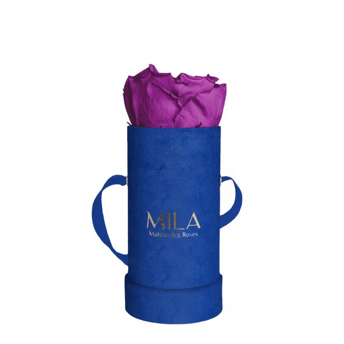 Mila Velvet Baby Royal Blue Velvet Baby - Violin