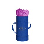  Mila-Roses-00805 Mila Velvet Baby Royal Blue Velvet Baby - Mauve