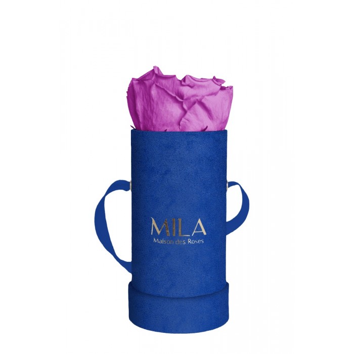 Mila Velvet Baby Royal Blue Velvet Baby - Mauve