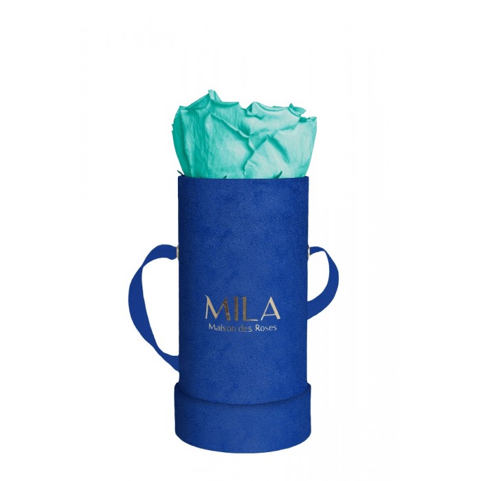 Mila Velvet Baby Royal Blue Velvet Baby - Aquamarine