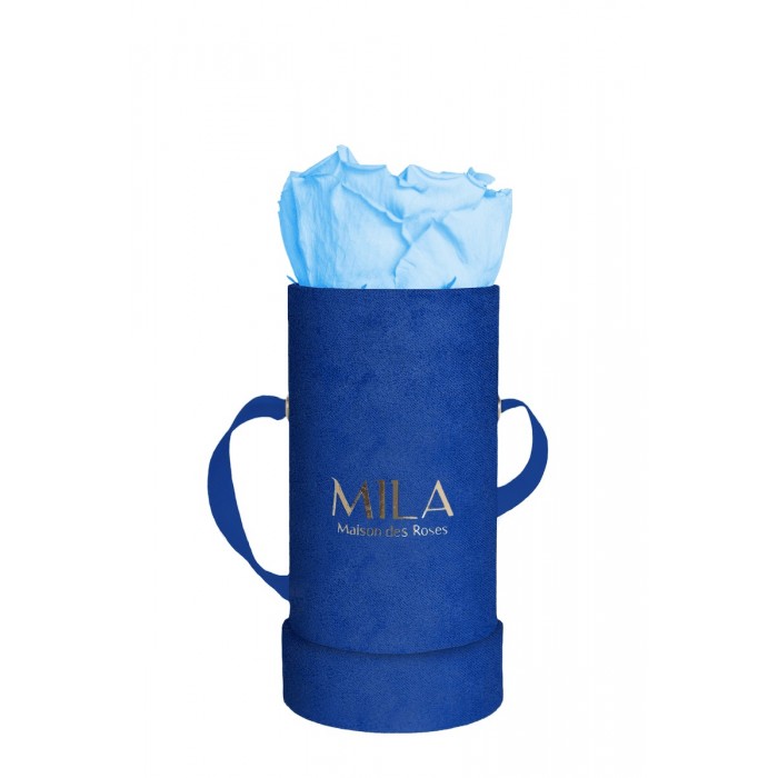 Mila Velvet Baby Royal Blue Velvet Baby - Baby blue