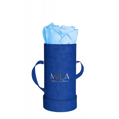 Produit Mila-Roses-00809 Mila Velvet Baby Royal Blue Velvet Baby - Baby blue