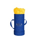  Mila-Roses-00810 Mila Velvet Baby Royal Blue Velvet Baby - Yellow Sunshine