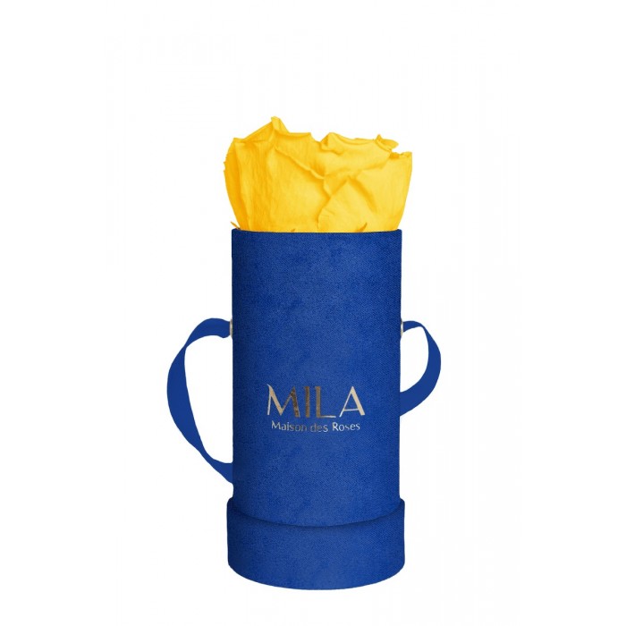 Mila Velvet Baby Royal Blue Velvet Baby - Yellow Sunshine