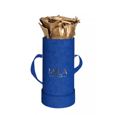 Produit Mila-Roses-00813 Mila Velvet Baby Royal Blue Velvet Baby - Metallic Gold