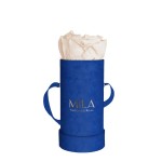  Mila-Roses-00814 Mila Velvet Baby Royal Blue Velvet Baby - Champagne