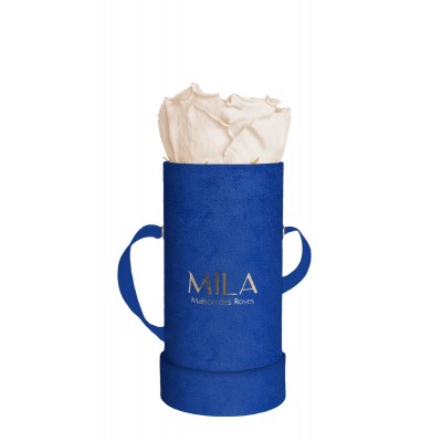 Produit Mila-Roses-00814 Mila Velvet Baby Royal Blue Velvet Baby - Champagne