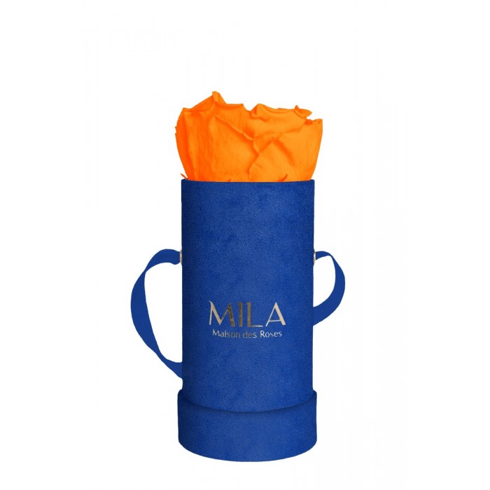 Mila Velvet Baby Royal Blue Velvet Baby - Orange Bloom