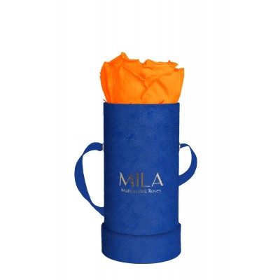 Produit Mila-Roses-00815 Mila Velvet Baby Royal Blue Velvet Baby - Orange Bloom