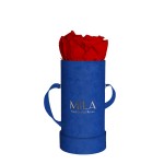  Mila-Roses-00817 Mila Velvet Baby Royal Blue Velvet Baby - Rouge Amour