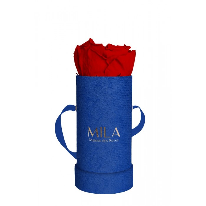 Mila Velvet Baby Royal Blue Velvet Baby - Rouge Amour