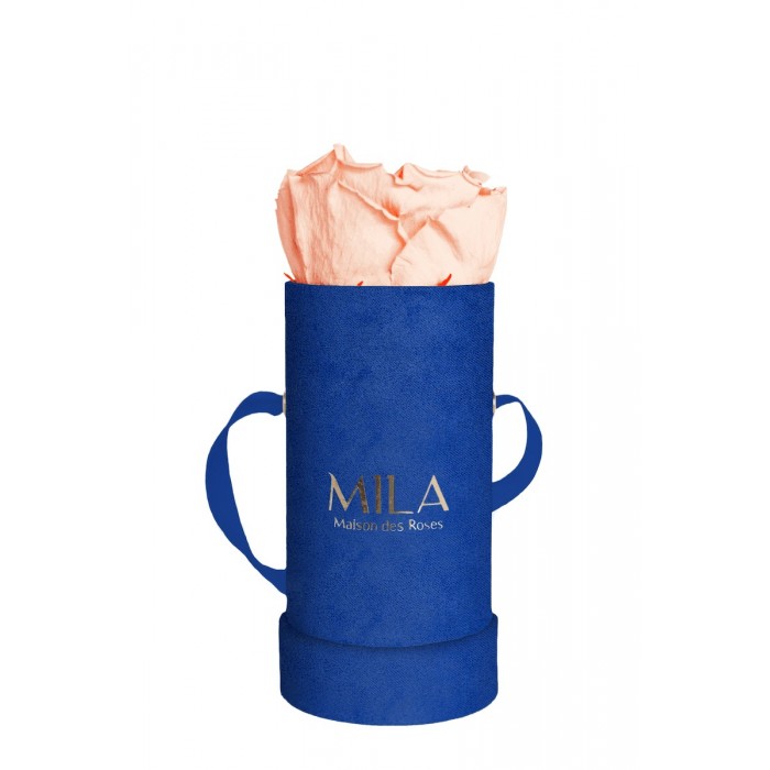 Mila Velvet Baby Royal Blue Velvet Baby - Pure Peach