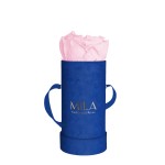  Mila-Roses-00819 Mila Velvet Baby Royal Blue Velvet Baby - Pink Blush