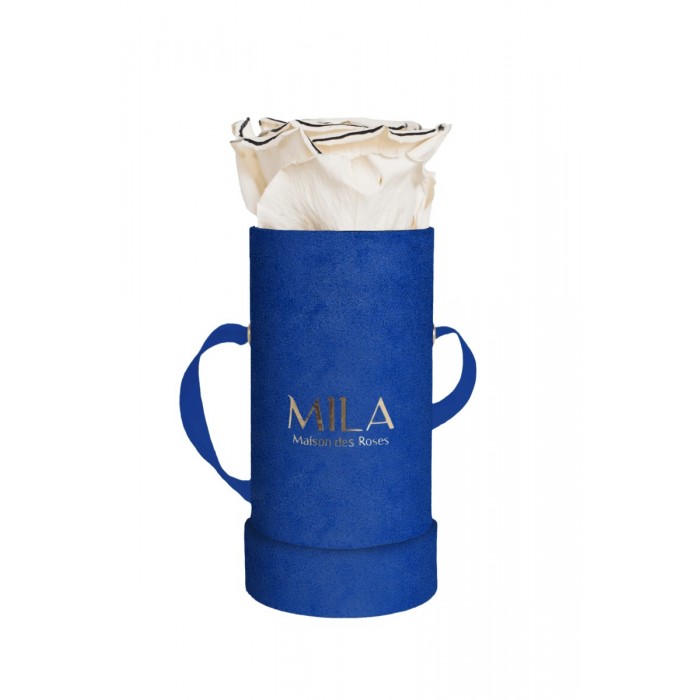 Mila Velvet Baby Royal Blue Velvet Baby - Haute Couture