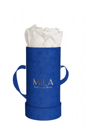 Produit Mila-Roses-00822 Mila Velvet Baby Royal Blue Velvet Baby - White Cream