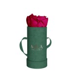  Mila-Roses-00826 Mila Velvet Baby Emeraude Velvet Baby - Fuchsia