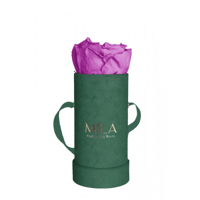 Mila Velvet Baby Emeraude Velvet Baby - Mauve