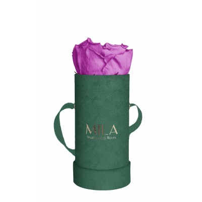 Produit Mila-Roses-00829 Mila Velvet Baby Emeraude Velvet Baby - Mauve