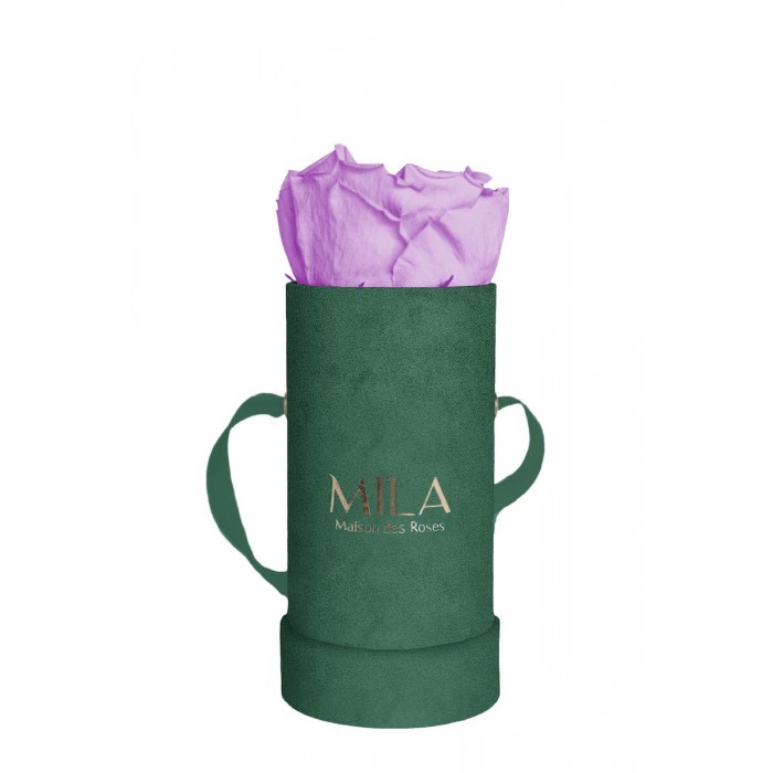 Mila Velvet Baby Emeraude Velvet Baby - Lavender