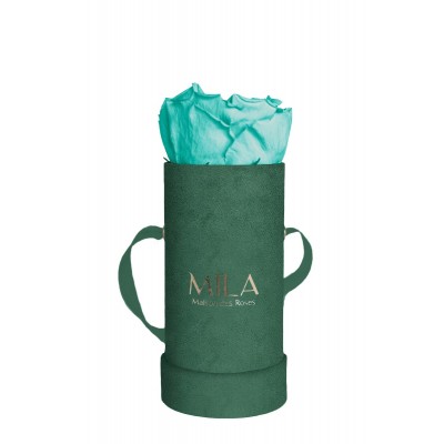 Produit Mila-Roses-00832 Mila Velvet Baby Emeraude Velvet Baby - Aquamarine