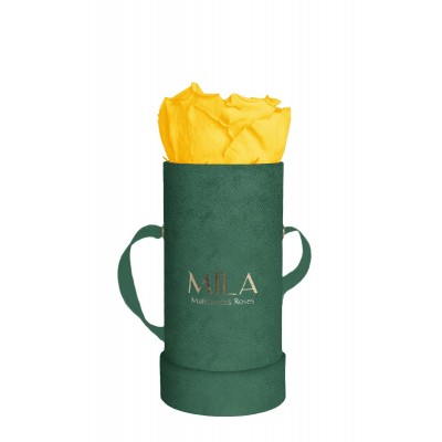 Produit Mila-Roses-00834 Mila Velvet Baby Emeraude Velvet Baby - Yellow Sunshine