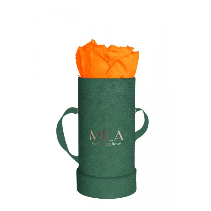 Mila Velvet Baby Emeraude Velvet Baby - Orange Bloom