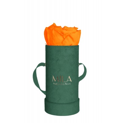 Produit Mila-Roses-00839 Mila Velvet Baby Emeraude Velvet Baby - Orange Bloom