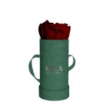  Mila-Roses-00840 Mila Velvet Baby Emeraude Velvet Baby - Rubis Rouge