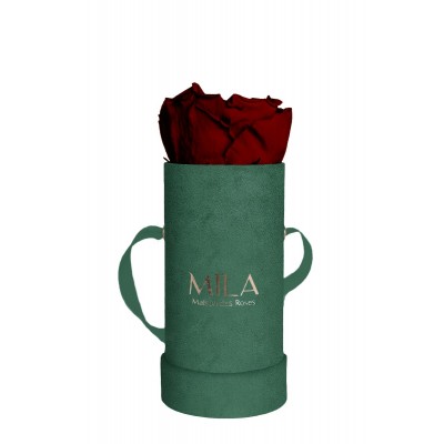 Produit Mila-Roses-00840 Mila Velvet Baby Emeraude Velvet Baby - Rubis Rouge