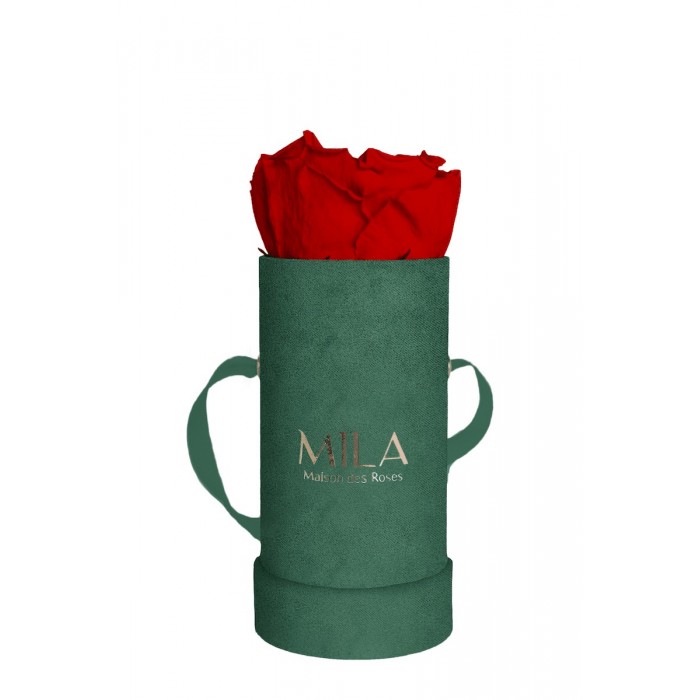 Mila Velvet Baby Emeraude Velvet Baby - Rouge Amour