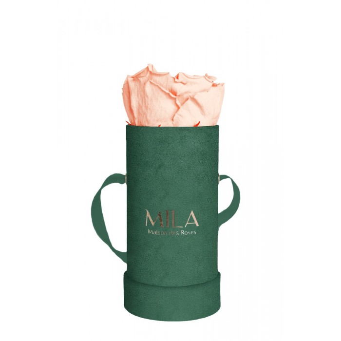 Mila Velvet Baby Emeraude Velvet Baby - Pure Peach