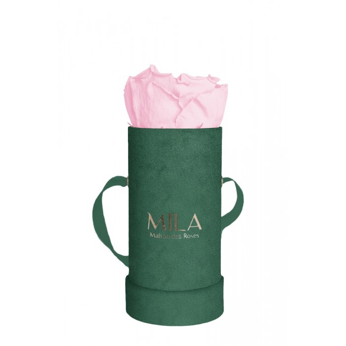 Mila Velvet Baby Emeraude Velvet Baby - Pink Blush