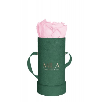 Produit Mila-Roses-00843 Mila Velvet Baby Emeraude Velvet Baby - Pink Blush