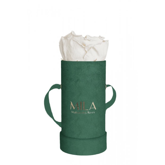 Mila Velvet Baby Emeraude Velvet Baby - White Cream