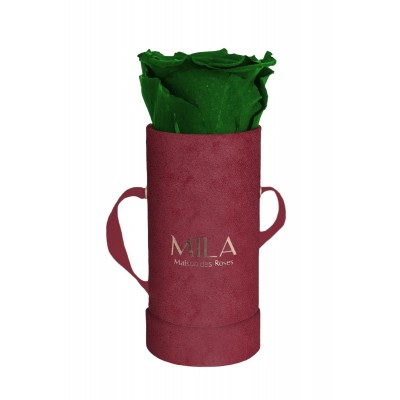 Produit Mila-Roses-00873 Mila Velvet Baby Burgundy Velvet Baby - Emeraude