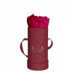  Mila-Roses-00874 Mila Velvet Baby Burgundy Velvet Baby - Fuchsia