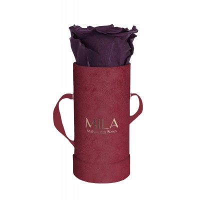 Produit Mila-Roses-00875 Mila Velvet Baby Burgundy Velvet Baby - Velvet purple