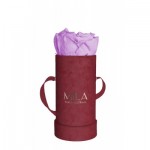  Mila-Roses-00878 Mila Velvet Baby Burgundy Velvet Baby - Lavender