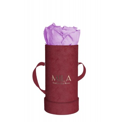 Produit Mila-Roses-00878 Mila Velvet Baby Burgundy Velvet Baby - Lavender