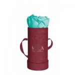  Mila-Roses-00880 Mila Velvet Baby Burgundy Velvet Baby - Aquamarine