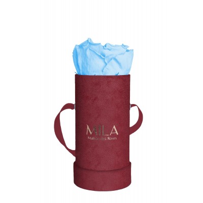 Produit Mila-Roses-00881 Mila Velvet Baby Burgundy Velvet Baby - Baby blue