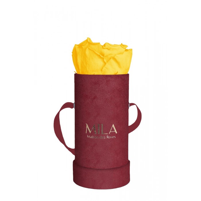 Mila Velvet Baby Burgundy Velvet Baby - Yellow Sunshine