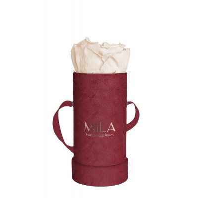 Produit Mila-Roses-00886 Mila Velvet Baby Burgundy Velvet Baby - Champagne