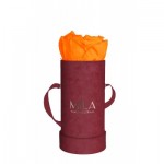  Mila-Roses-00887 Mila Velvet Baby Burgundy Velvet Baby - Orange Bloom