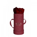  Mila-Roses-00888 Mila Velvet Baby Burgundy Velvet Baby - Rubis Rouge