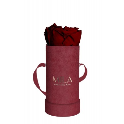 Produit Mila-Roses-00888 Mila Velvet Baby Burgundy Velvet Baby - Rubis Rouge