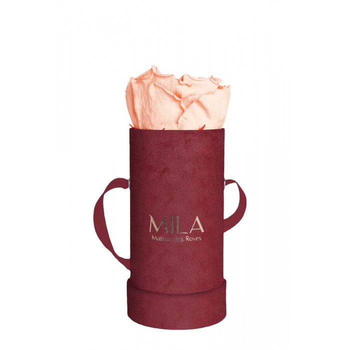 Mila Velvet Baby Burgundy Velvet Baby - Pure Peach