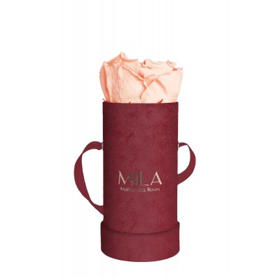 Produit Mila-Roses-00890 Mila Velvet Baby Burgundy Velvet Baby - Pure Peach