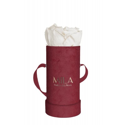 Produit Mila-Roses-00894 Mila Velvet Baby Burgundy Velvet Baby - White Cream